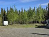 1319.8 Mile Alaska Highway - Photo 47
