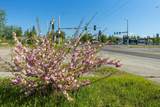 2001 Airport Way - Photo 23
