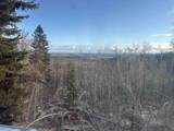 1244 Chena Ridge Road - Photo 14
