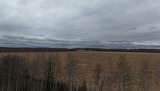 nhn Angela Drive - Photo 8