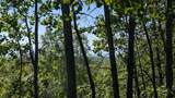 1356 Shuros Drive - Photo 4