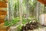 Lot 5 Chena River - Photo 12