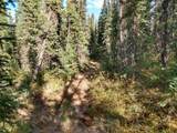 NHN Elliott Highway - Photo 14