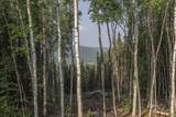 4010 Old Wood Road - Photo 30