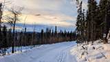 334 Olnes Loop Road - Photo 13