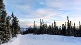 334 Olnes Loop Road - Photo 16