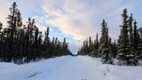 334 Olnes Loop Road - Photo 19
