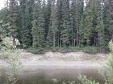NHN Chena Landings Loop Road - Photo 1