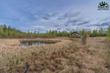 1010 Maura Street - Photo 2