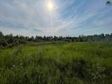 1010 Maura Street - Photo 43