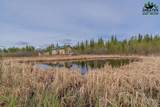 1010 Maura Street - Photo 46