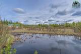 1010 Maura Street - Photo 48