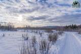 1010 Maura Street - Photo 49