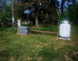 4851 Richardson Highway - Photo 48