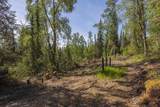 2048 Pine Cone Lane - Photo 7
