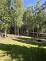 2585 Stellar Way - Photo 34