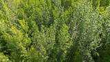 NHN Gruening Way - Photo 7