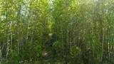 NHN Gruening Way - Photo 8