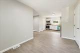 431 Andrea Drive - Photo 9