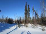 NHN North Fork Chena River - Photo 2