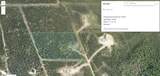 4065 Wildcat Creek Way - Photo 1