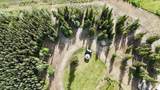 1399 Alaska Highway - Photo 48