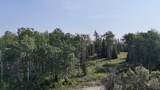 L4 BC Schlecht Drive - Photo 2