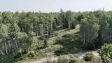 L4 BC Schlecht Drive - Photo 3