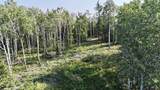 L4 BC Schlecht Drive - Photo 7