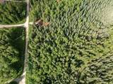 NHN Whistling Swan Drive - Photo 13