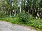 NHN Whistling Swan Drive - Photo 22