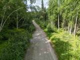 NHN Whistling Swan Drive - Photo 21