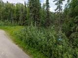 NHN Whistling Swan Drive - Photo 24