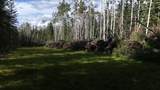 4363 Olmstead Street - Photo 25