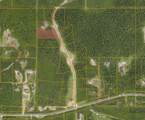 Lot 13 Nels Jackson Road - Photo 1