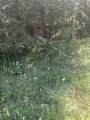 NHN Chena Street - Photo 3
