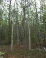 NHN Mile 276.5 Parks Hwy - Photo 2