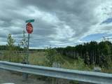 NHN Mile 276.5 Parks Hwy - Photo 3