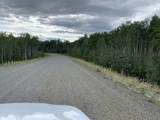 NHN Mile 276.5 Parks Hwy - Photo 5