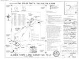 Tracts A & B Goodpaster River - Photo 1