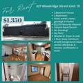 227 Woodridge Street - Photo 1