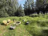 17239 Chena Hot Springs Road - Photo 6