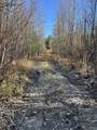 mile 11 Eureka-Rampart Road - Photo 35
