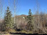 mile 11 Eureka-Rampart Road - Photo 37