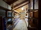 1025 Water Thrush Drive - Photo 48