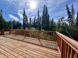 1025 Water Thrush Drive - Photo 6