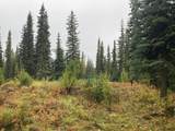 NHN Yankovich Road - Photo 4