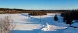 4500 Rosie Creek Trail - Photo 30