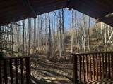 2631 Horsetail Trail - Photo 7