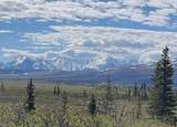 NHN Stampede Road - Photo 1